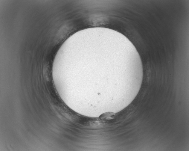 X0000076430316200611031846