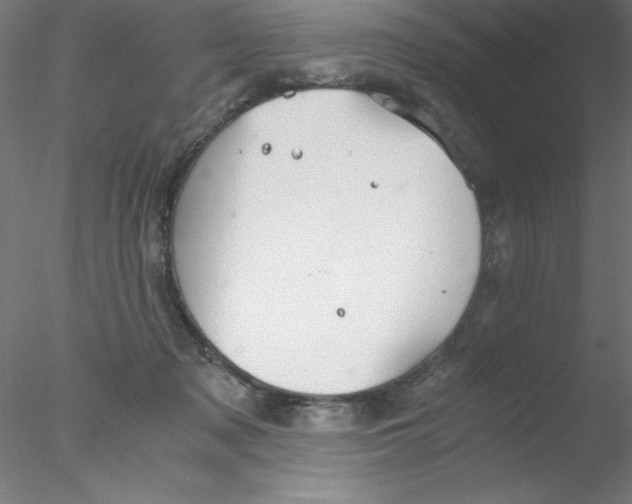 X0000076430317200611031846