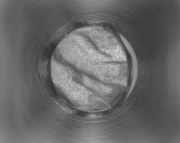 X0000076430319200611031846