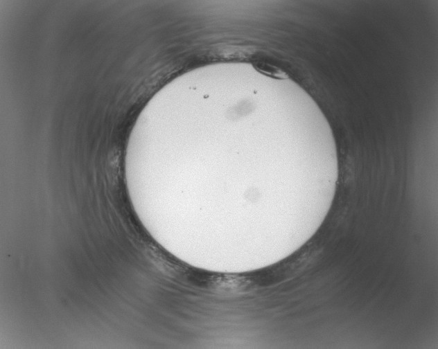 X0000076430321200611031846