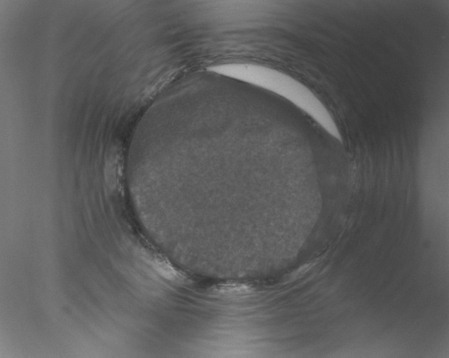 X0000076430322200611031846