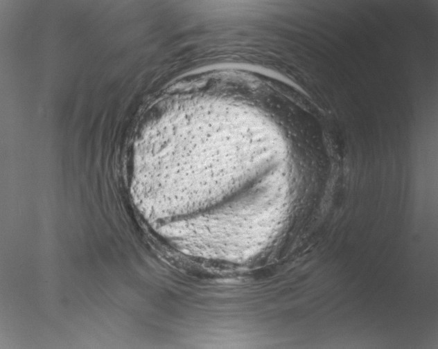 X0000076430323200611031846