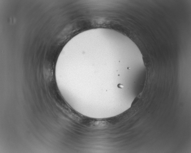 X0000076430324200611031846