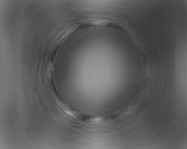 X0000076430325200611031846