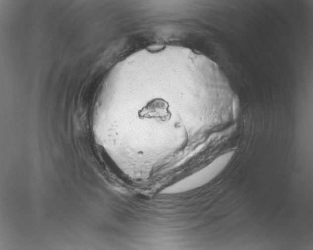 X0000076430327200611031846