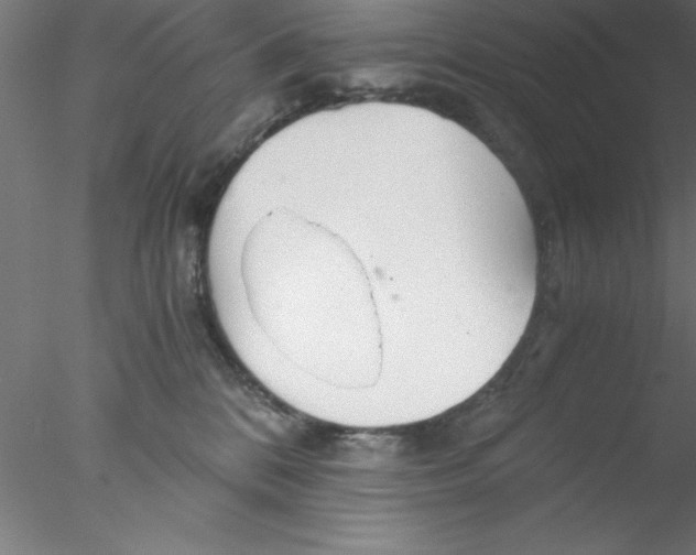 X0000076430328200611031846