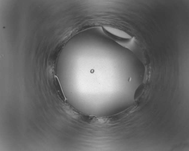 X0000076430329200611031846