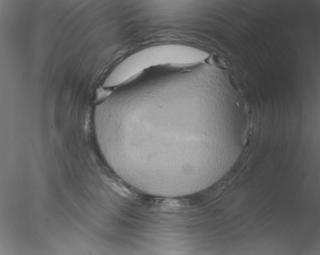 X0000076430330200611031846