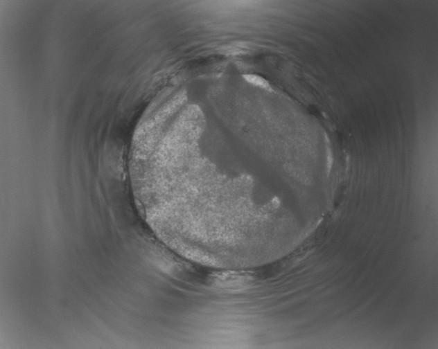 X0000076430331200611031846