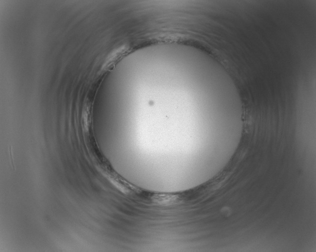 X0000076430334200611031846