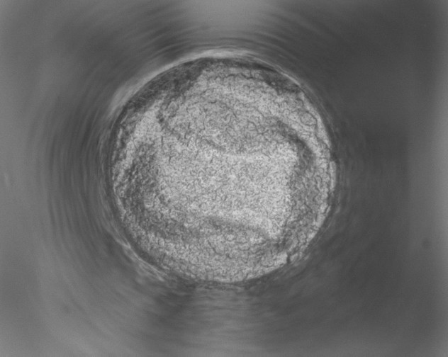 X0000076430337200611031845