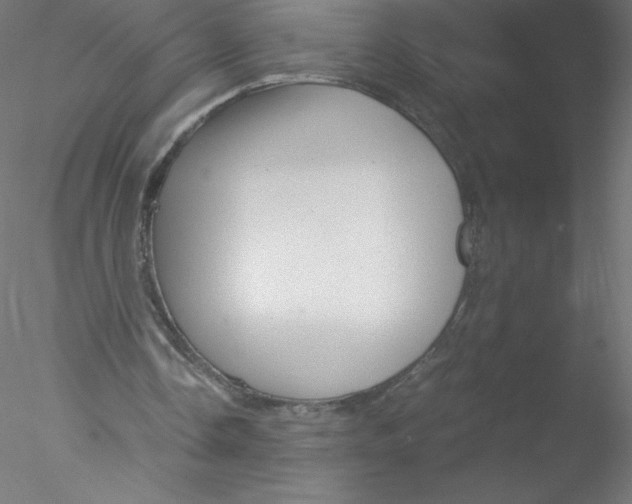 X0000076430338200611031845