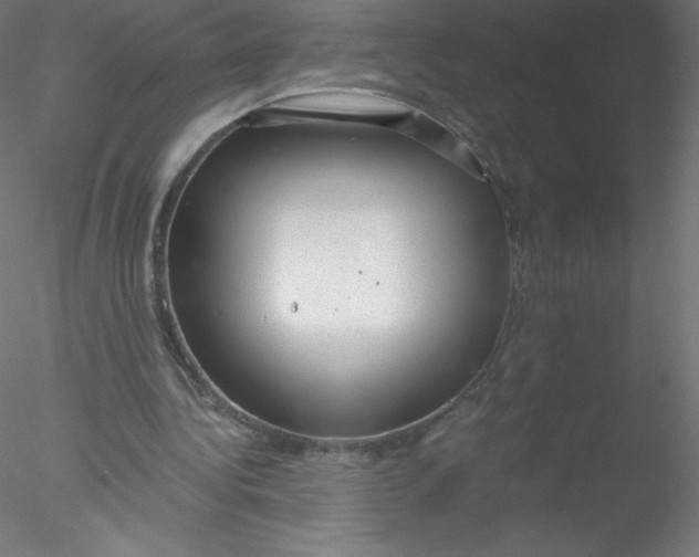 X0000076430340200611031845