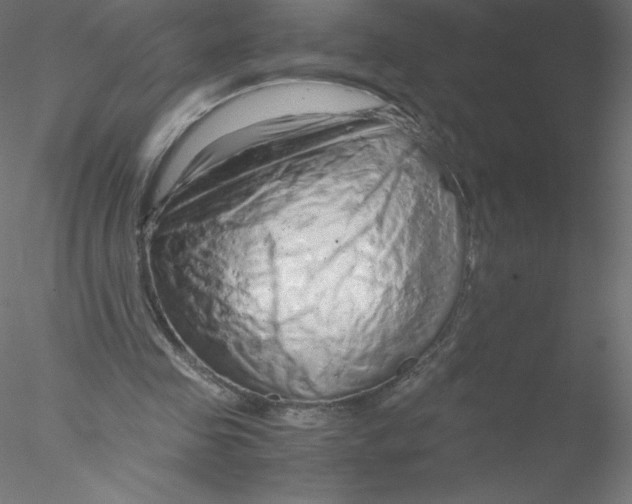 X0000076430341200611031845