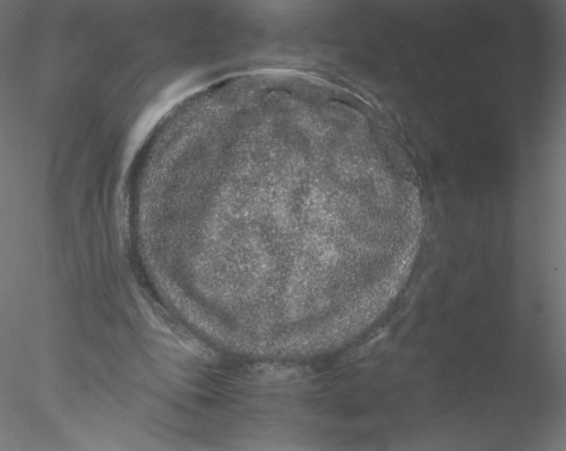 X0000076430343200611031845