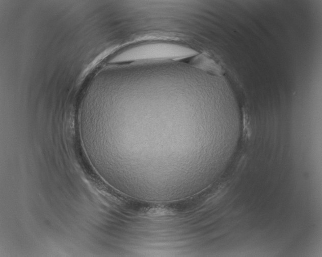 X0000076430348200611031845