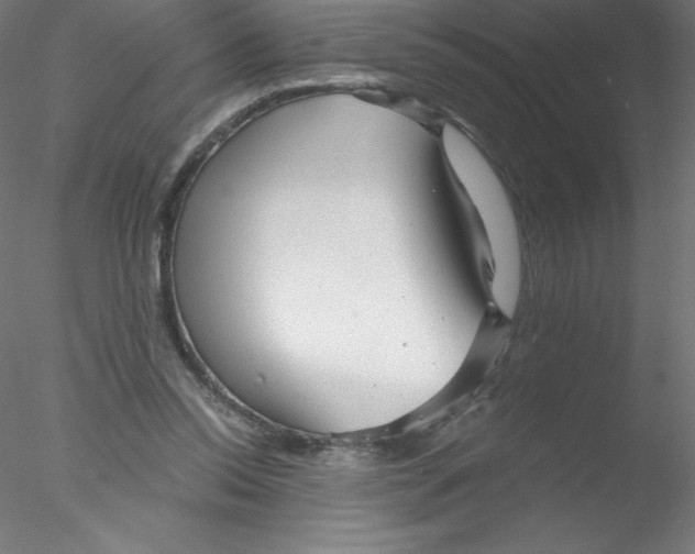 X0000076430350200611031845