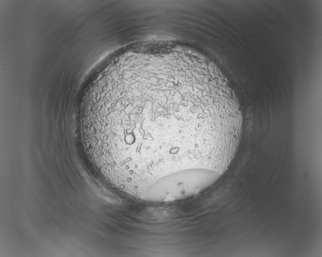 X0000076430351200611031845