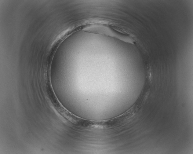 X0000076430352200611031845