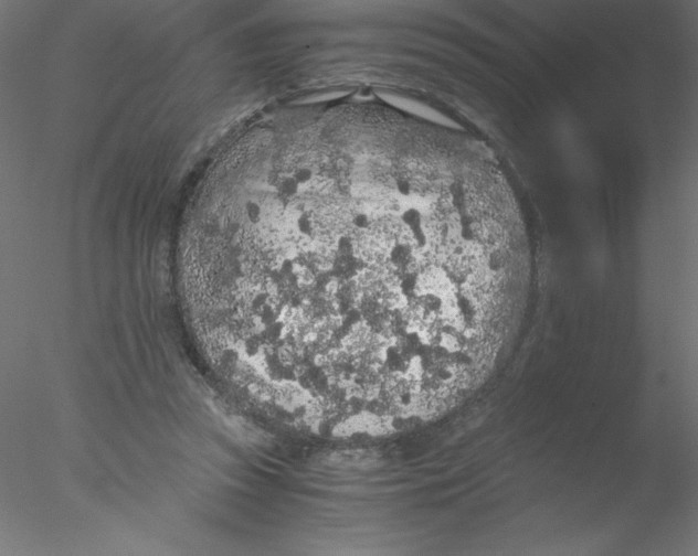 X0000076430353200611031845