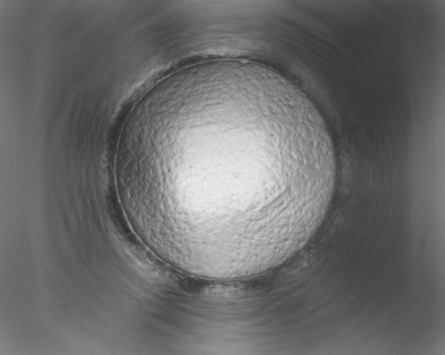 X0000076430354200611031845