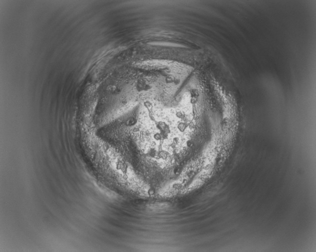 X0000076430357200611031845