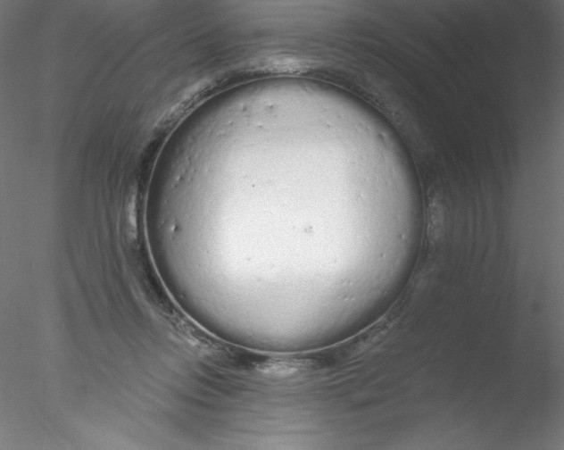 X0000076430358200611031845