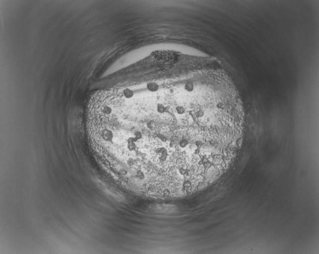 X0000076430361200611031845