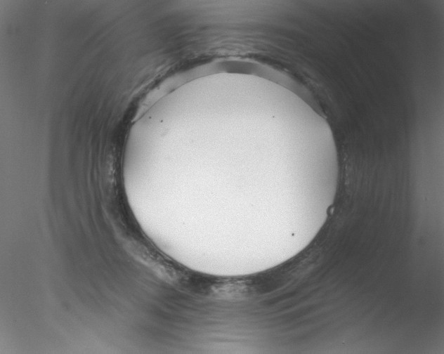 X0000076430362200611031845