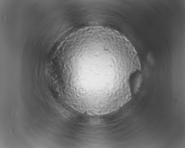 X0000076430363200611031845