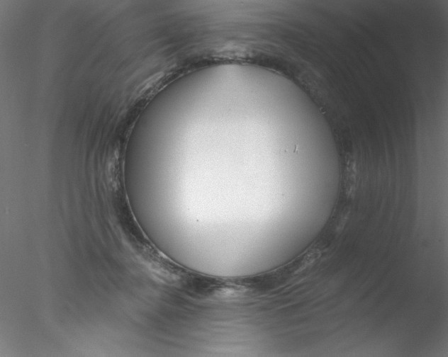 X0000076430364200611031845