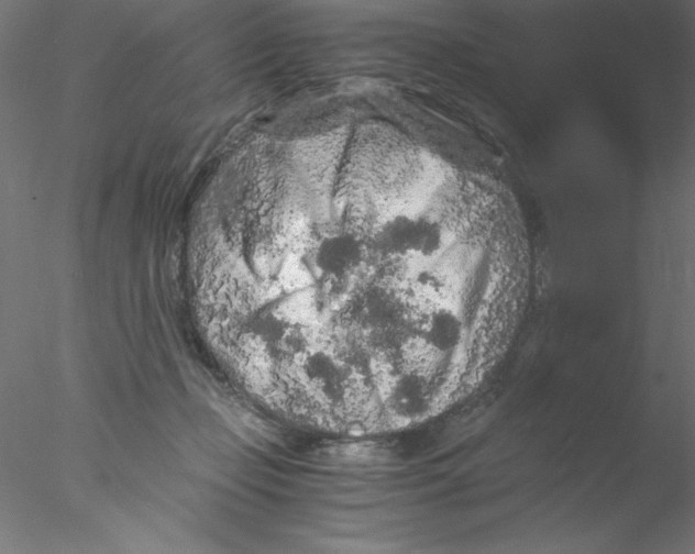 X0000076430365200611031845