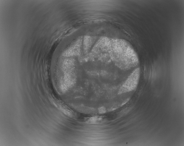 X0000076430366200611031845