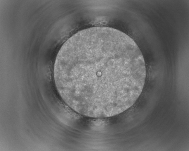 X0000076430370200611031845