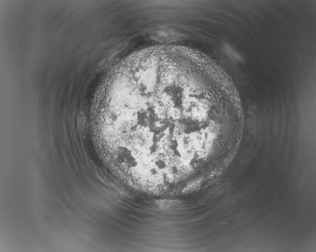 X0000076430371200611031845