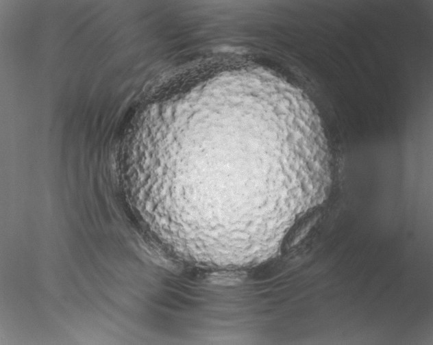 X0000076430373200611031845