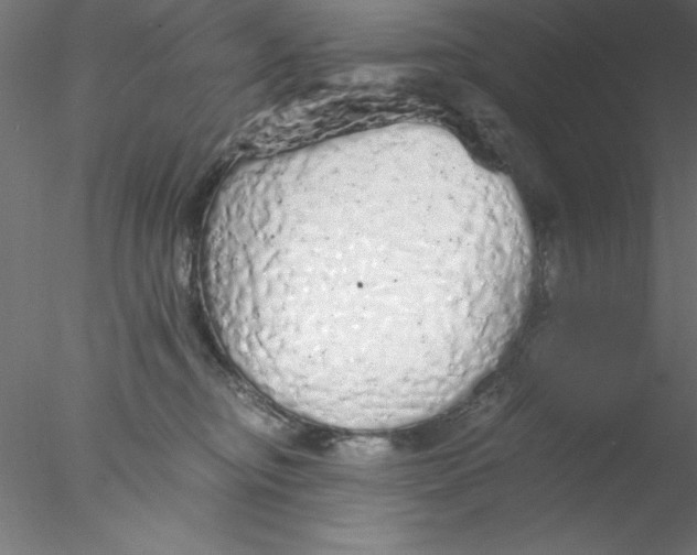 X0000076430374200611031845