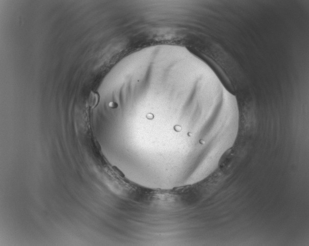 X0000076430376200611031846