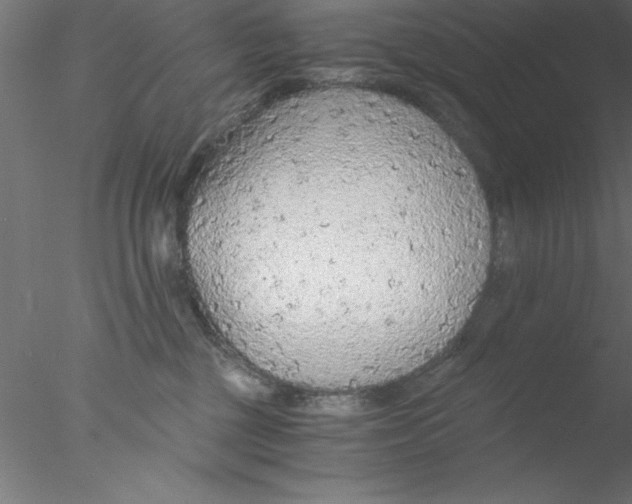 X0000076430377200611031846