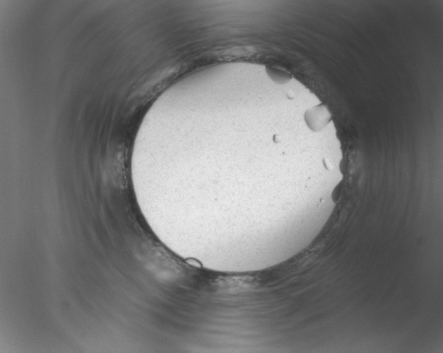 X0000076430378200611031846