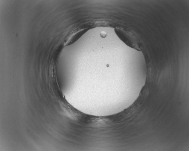 X0000076430379200611031846