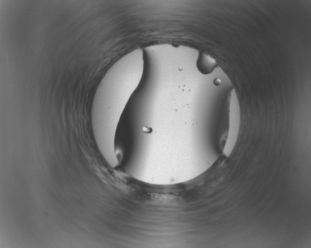 X0000076430380200611031846