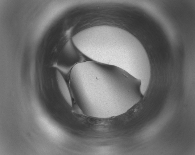 X0000076430382200611031846