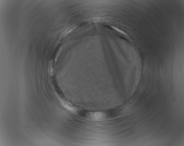 X0000076430383200611031846