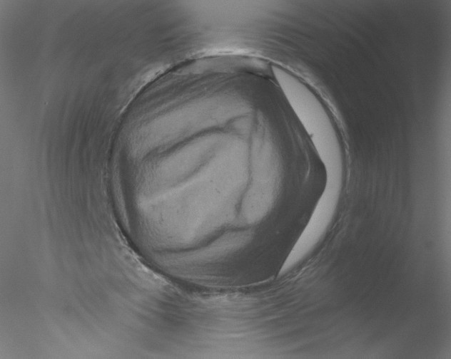 X0000076430385200611031845