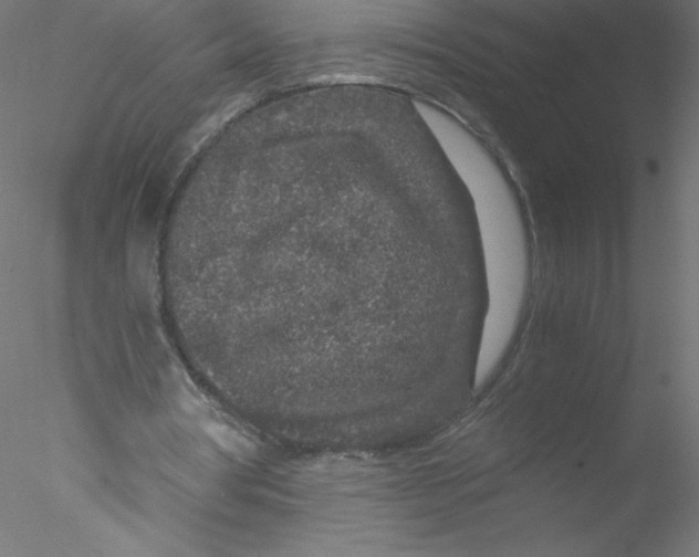 X0000076430386200611031845