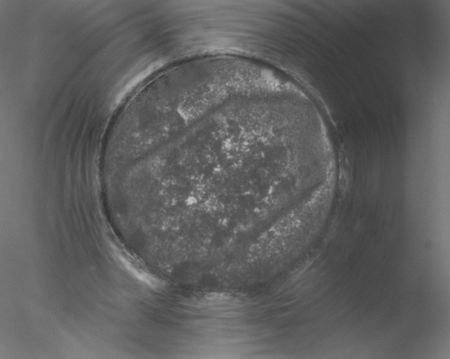 X0000076430390200611031845