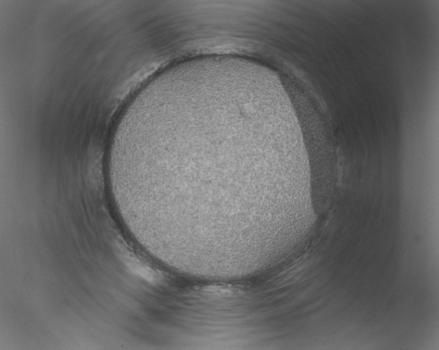 X0000076430394200611031845