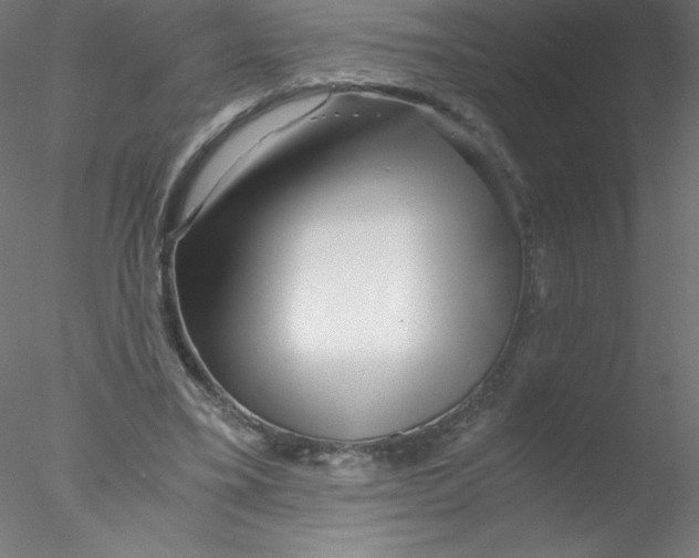 X0000076430395200611031845