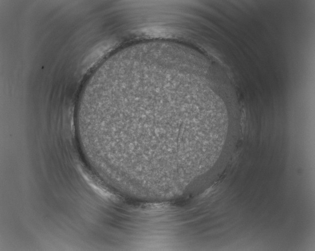 X0000076430398200611031845